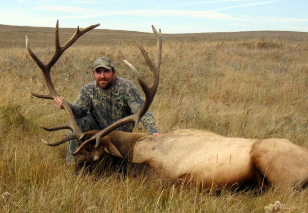 Alberta Canada Elk Hunts Udells Hunting