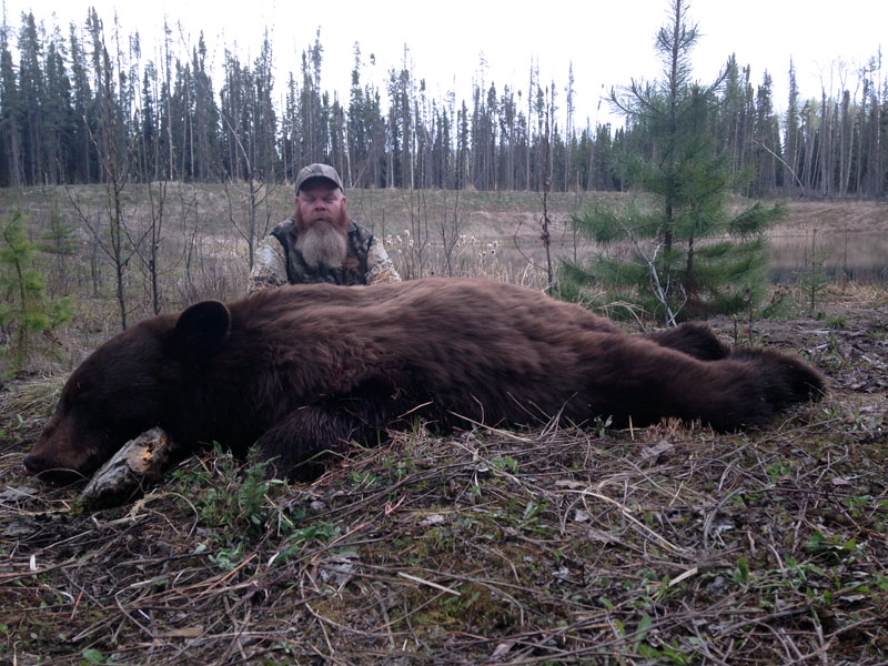 Alberta Canada bear hunts