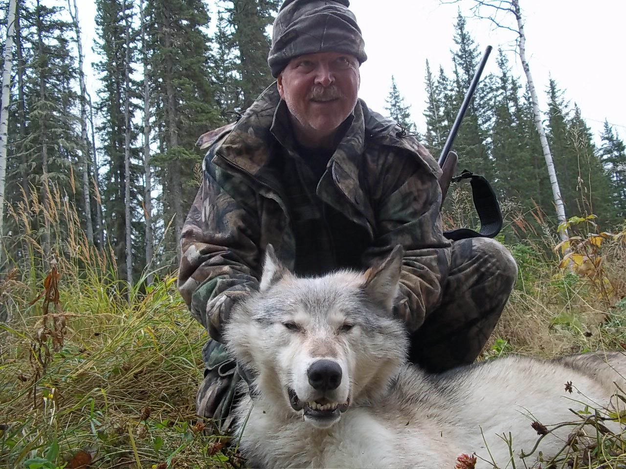 Wolf hunters. Чебоксарск охотник волк.