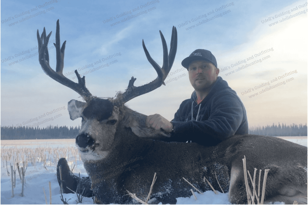 A man posing with his deer in the snow.