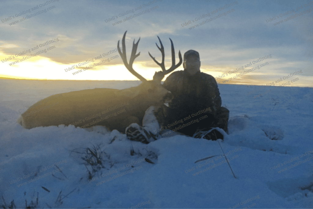 A man with a large buck in the snow.