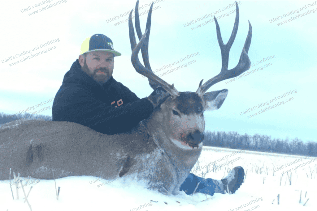 A man is kneeling down with a deer in the snow.