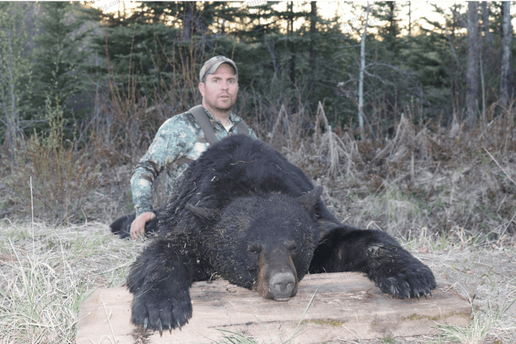 A man kneeling down next to a black bear.