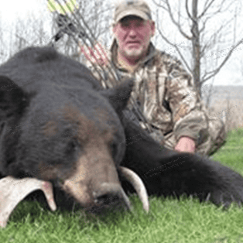 A man kneeling down with a large black bear.