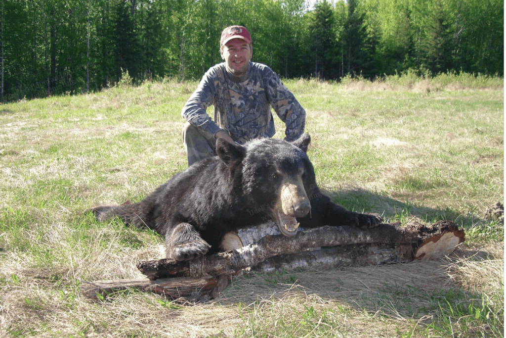 A man kneeling down next to a black bear.