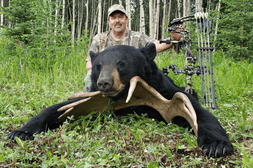 A man is kneeling down next to a black bear.