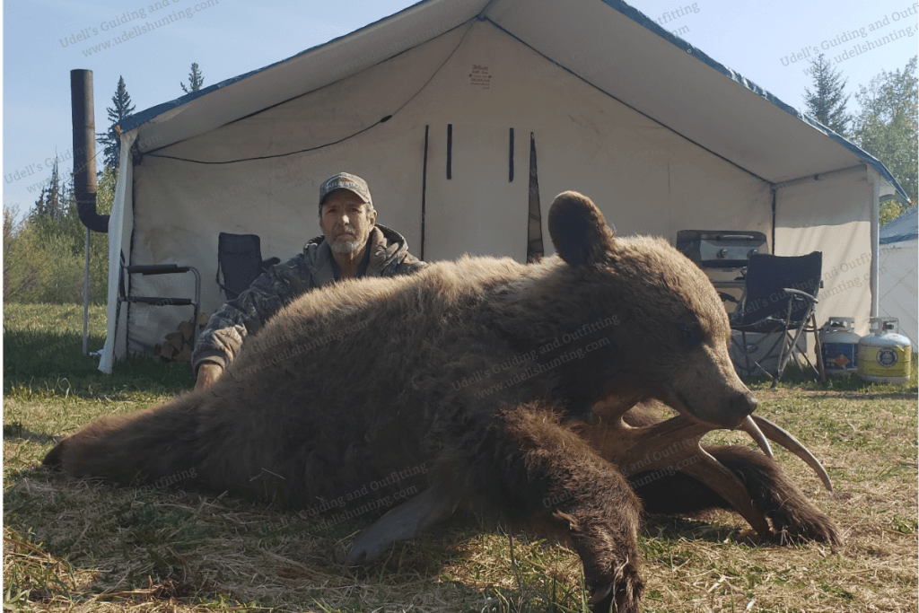A man is sitting in front of a bear.